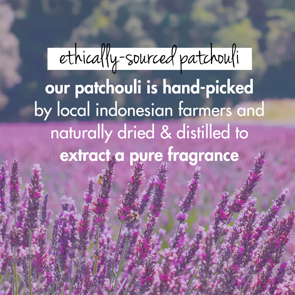 Love Beauty & Planet Onion, Blackseed & Patchouli Sulfate Free Shampoo